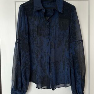 Sheer Blue Button-Up Blouse Iris Setlakwe